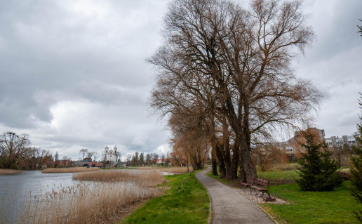 32_Mosėdžio pažintinis takas 1 (1).jpg